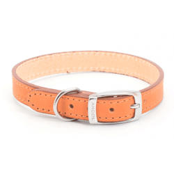 Tan Sewn Dog Collar 30CM MARRON