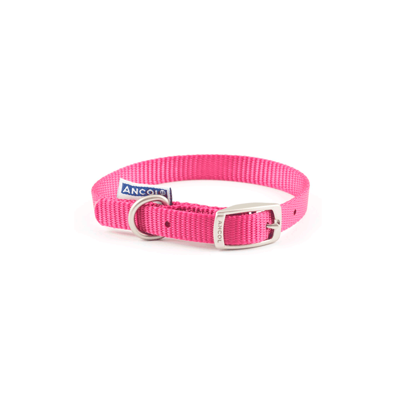 Collar nylon ANCOL ROSA 55cm Sz6