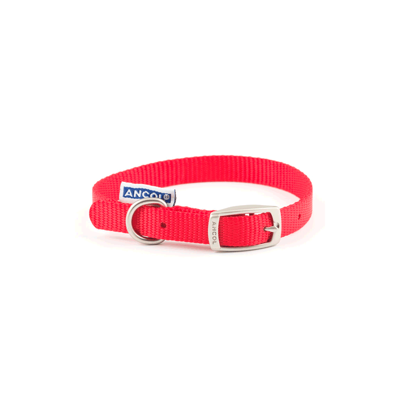 Collar nylon ANCOL ROJO 55cm Sz6