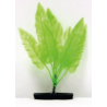 Planta Spatterdock 16cm