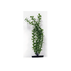 Planta Green Bacopa 29cm