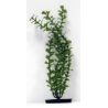 Planta Green Bacopa 29cm