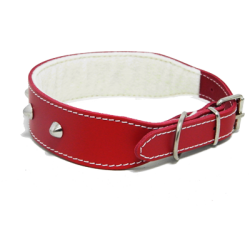 Collar Cuero Clavos Bulldog  45cm