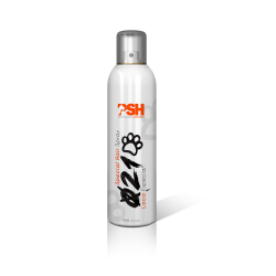 Spray 405/300ml texturizador flexible PSH