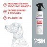 Spray 300 ml perfume fresa PSH