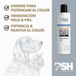 FR 300ML BROWN & BLACK VIBES potenciador Dorado y marrón  PSH home