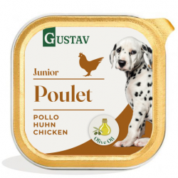 DOG Junior Gustav Pate de...