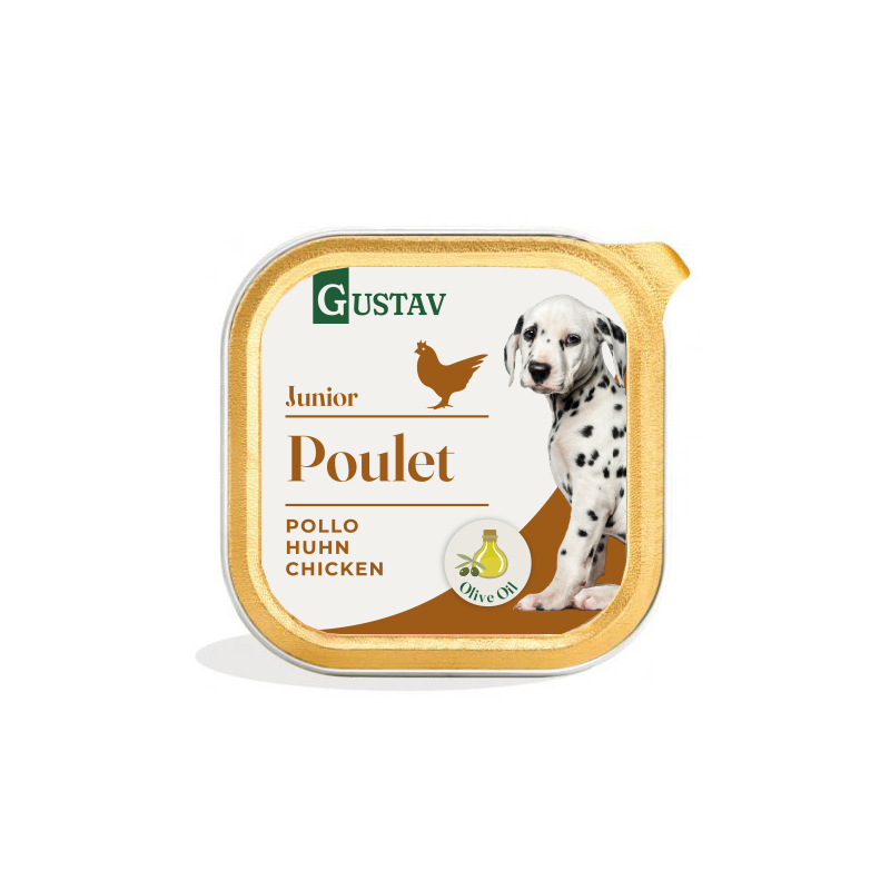 DOG Junior Gustav Pate de Pollo 150gr (11)