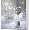 XMAS Calendario de Adviento para perros BUBIMEX