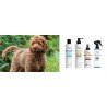 Fr 300ml champú Curly Tropical shampoo PSH