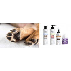 FR 50ML PAW PROTECTOR  ROLL ON Limited Edition PSH