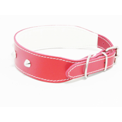 Collar Cuero Clavos Bulldog 55cm