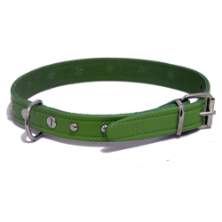 Collar Fornitura 27cm