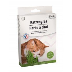 Hierba para gatos 100gr    10