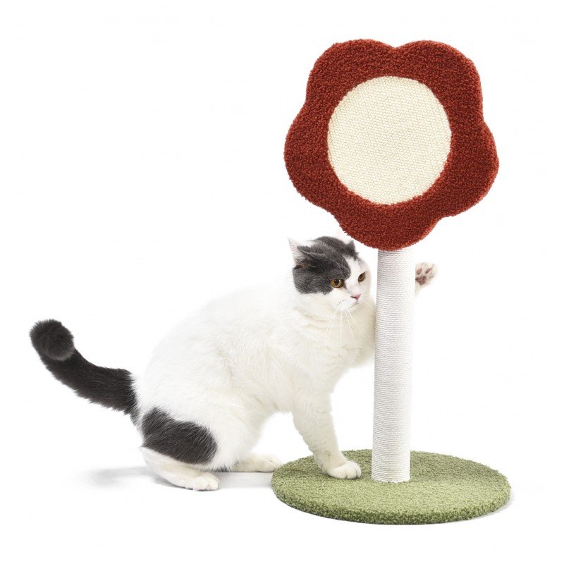 Rascador tronco flor 35 x 35 x 69,5cm    1
