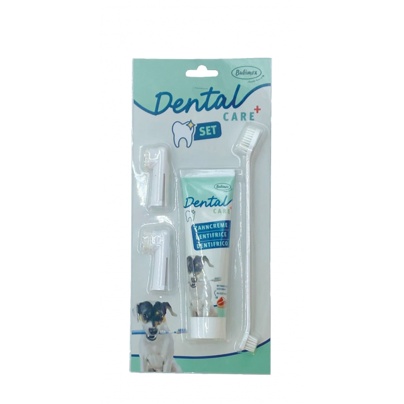 Kit dental - 3 cepillos + Pasta    6