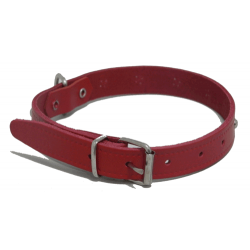 Collar Liso 35cm